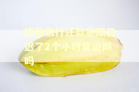 招商银行还款宽限日迟了2个小时算逾期吗