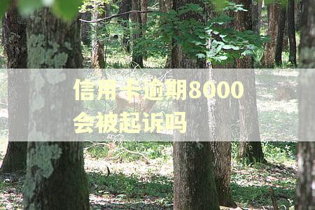 信用卡逾期8000会被起诉吗 信用卡逾期8000会被起诉吗