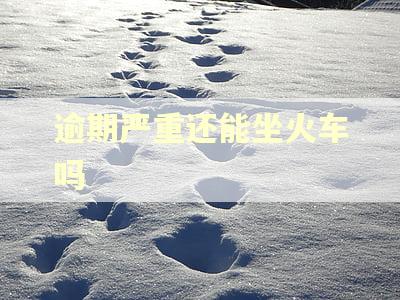 逾期严重还能坐火车吗