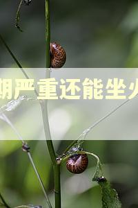逾期严重还能坐火车吗