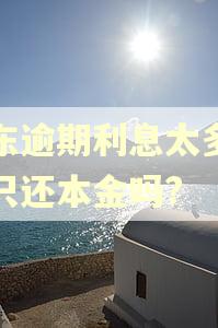 京东逾期利息太多可以只还本金吗?