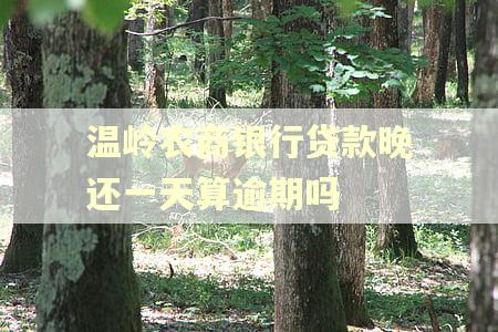 温岭农商银行贷款晚还一天算逾期吗