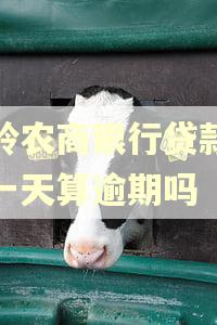 温岭农商银行贷款晚还一天算逾期吗