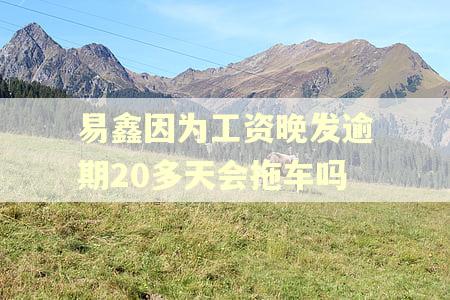 易鑫因为工资晚发逾期20多天会拖车吗