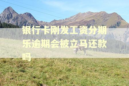 银行卡刚发工资分期乐逾期会被立马还款吗