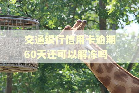 交通银行信用卡逾期60天还可以解冻吗