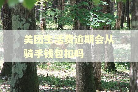美团生活费逾期会从骑手钱包扣吗