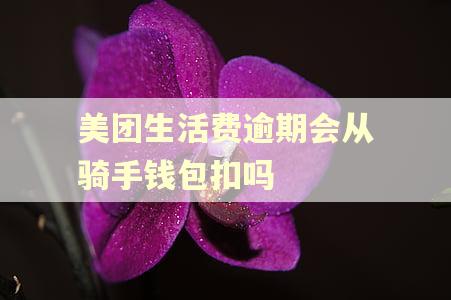 美团生活费逾期会从骑手钱包扣吗 美团生活费逾期会从骑手钱包扣吗