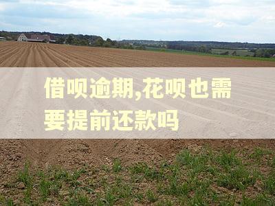 借呗逾期,花呗也需要提前还款吗