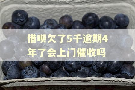 借呗欠了5千逾期4年了会上门催收吗