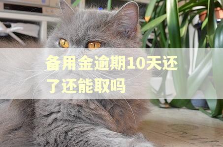 备用金逾期10天还了还能取吗