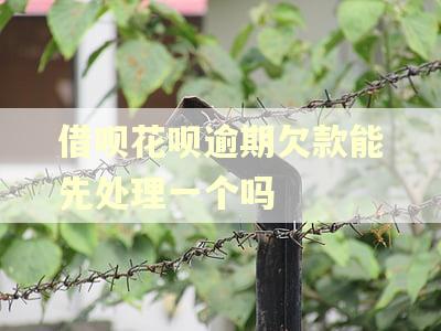 借呗花呗逾期欠款能先处理一个吗