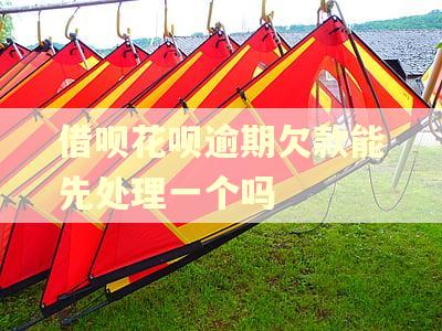 借呗花呗逾期欠款能先处理一个吗 借呗花呗逾期欠款能先处理一个吗