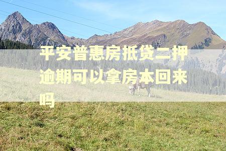 平安普惠房抵贷二押逾期可以拿房本回来吗