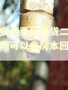 平安普惠房抵贷二押逾期可以拿房本回来吗