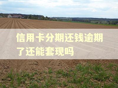 信用卡分期还钱逾期了还能套现吗