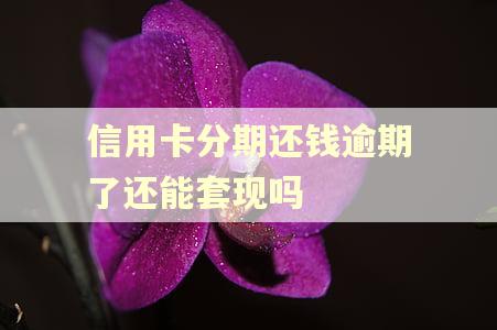 信用卡分期还钱逾期了还能套现吗