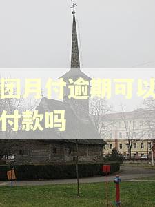 美团月付逾期可以分期付款吗