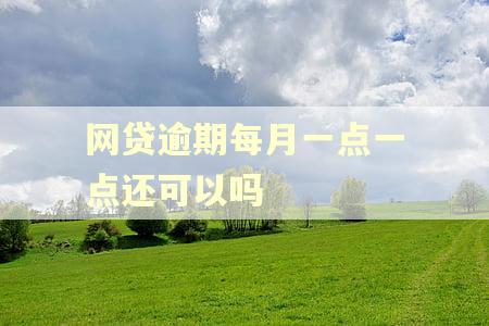 网贷逾期每月一点一点还可以吗