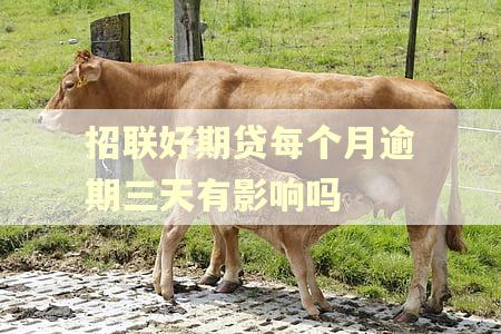 招联好期贷每个月逾期三天有影响吗