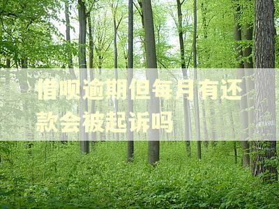 借呗逾期但每月有还款会被起诉吗