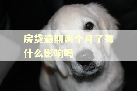 房贷逾期两个月了有什么影响吗