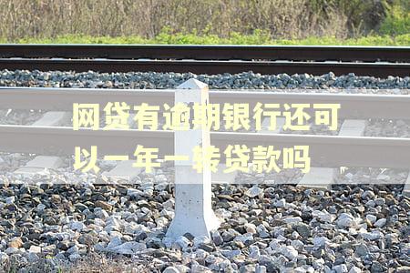 网贷有逾期银行还可以一年一转贷款吗