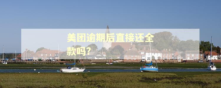 美团逾期后直接还全款吗?