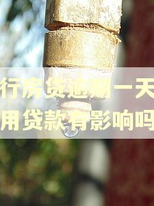 中行房贷逾期一天对信用贷款有影响吗