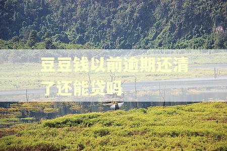 豆豆钱以前逾期还清了还能贷吗