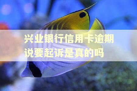 兴业银行信用卡逾期说要起诉是真的吗