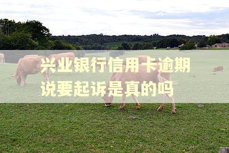 兴业银行信用卡逾期说要起诉是真的吗