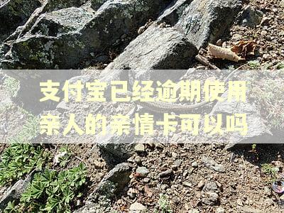 支付宝已经逾期使用亲人的亲情卡可以吗