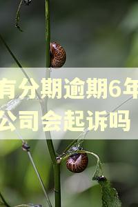 既有分期逾期6年法务公司会起诉吗