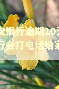 平安银行逾期10天银行会打电话给家人吗