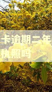 信用卡逾期二年能办营业执照吗