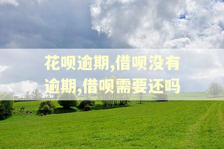 花呗逾期,借呗没有逾期,借呗需要还吗
