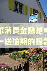 海尔消费金融是一个月一送逾期的报告吗