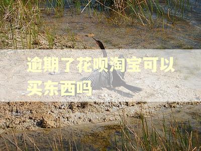 逾期了花呗淘宝可以买东西吗
