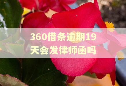 360借条逾期19天会发律师函吗