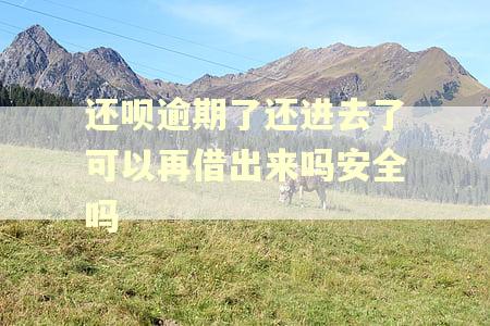 还呗逾期了还进去了可以再借出来吗安全吗