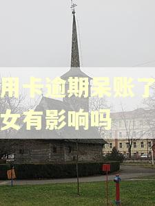 信用卡逾期呆账了对子女有影响吗