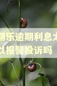 分期乐逾期利息太高可以报警投诉吗