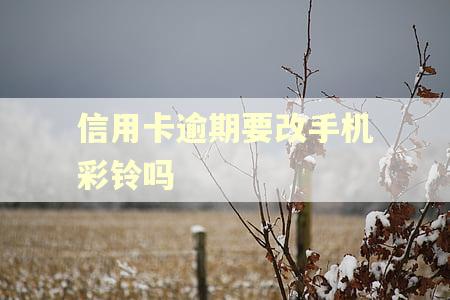 信用卡逾期要改手机彩铃吗