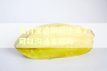 支付宝逾期后还清了可以沟通客服吗