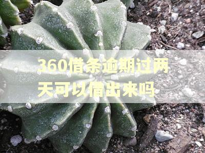 360借条逾期过两天可以借出来吗