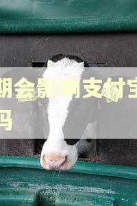 逾期会影响支付宝使用吗