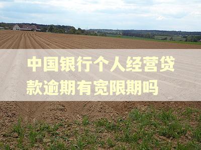 中国银行个人经营贷款逾期有宽限期吗