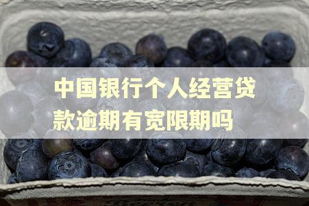 中国银行个人经营贷款逾期有宽限期吗 中国银行个人经营贷款逾期有宽限期吗