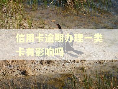 信用卡逾期办理一类卡有影响吗